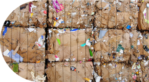 recygo recycler